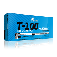 Load image into Gallery viewer, T 100 HARDCORE