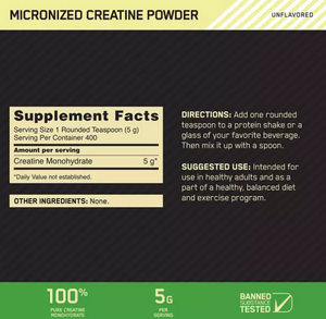 MICRONIZED CREATINE POWDER