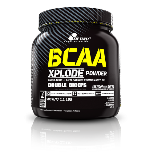 BCAA XPLODE 500 G