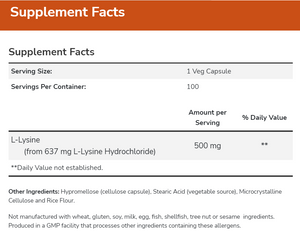 L-LYSINE 500 mg